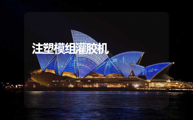 注塑模组灌胶机 